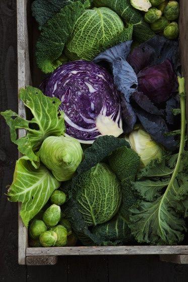 Meadow Symphony: Organic Greens Collection
